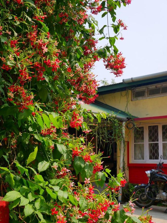 Gibbon Backpackers Hostel Guwahati Luaran gambar